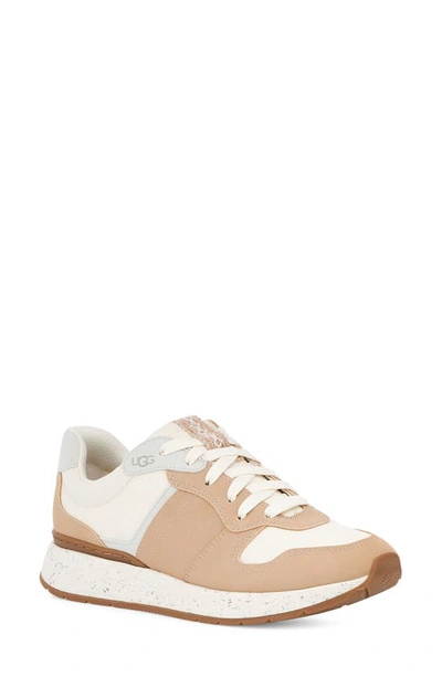 Shop Ugg Retrainer Sneaker In Driftwood