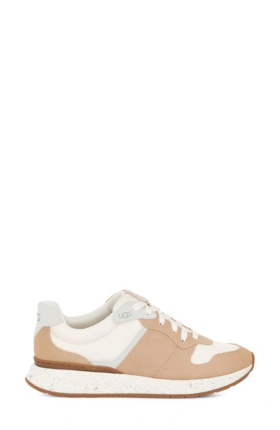 Ugg Retrainer Sneaker In Driftwood