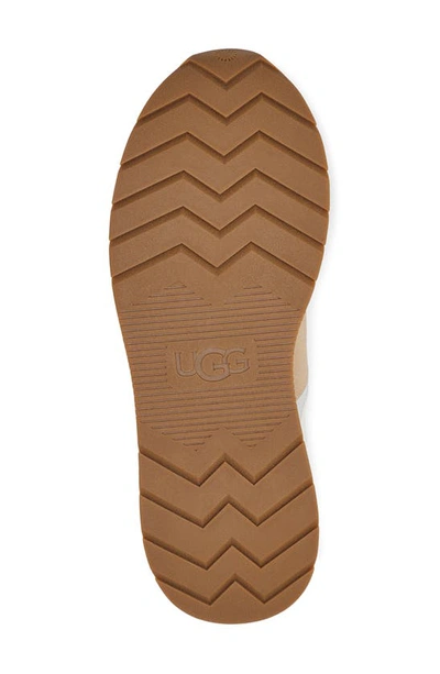 Ugg Retrainer Sneaker In Driftwood