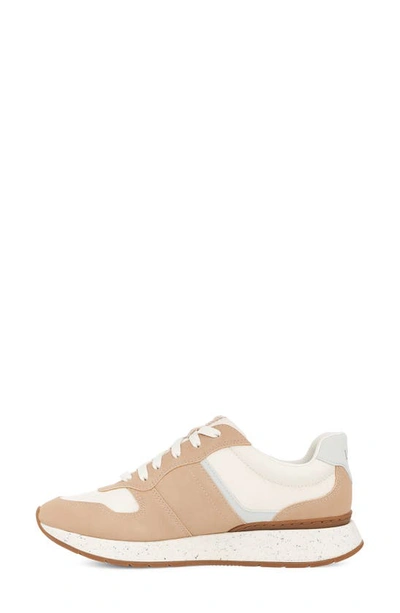 Ugg Retrainer Sneaker In Driftwood