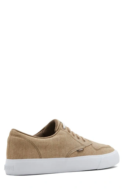 Shop Element Topaz C3 Canvas Sneaker In Medium Brown