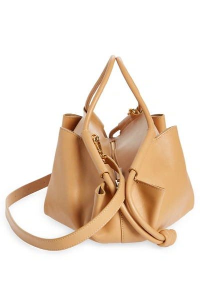 Shop Loewe Paseo Shoulder Bag In Warm Desert