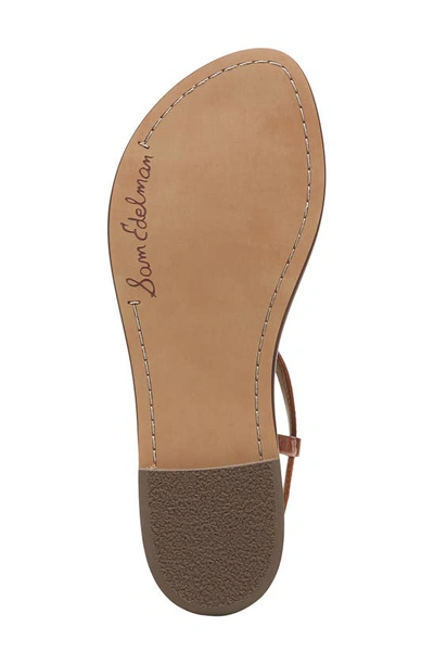 Shop Sam Edelman Gigi Sandal In Dm-kona Brown