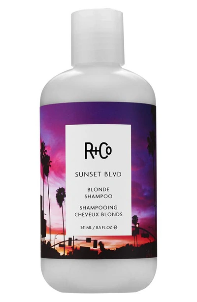 Shop R + Co Sunset Blvd Blonde Shampoo, 8.5 oz