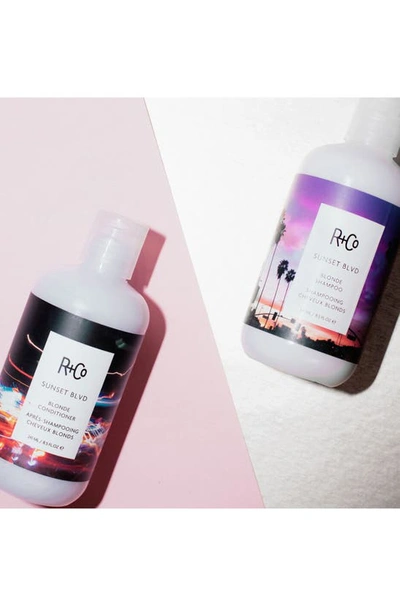 R + Co R+co Sunset Blvd Blonde Shampoo