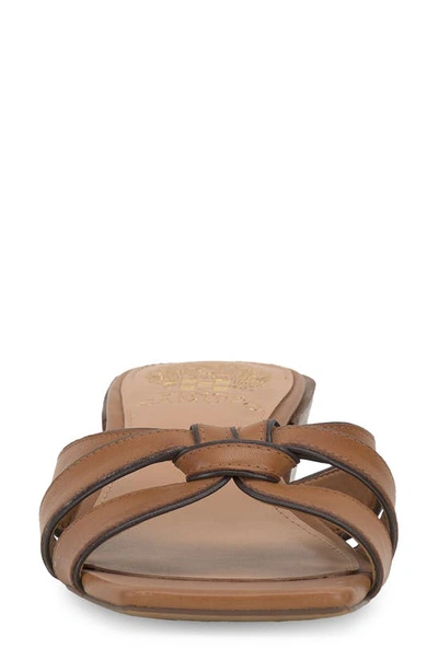 Vince Camuto Selaries Slide Sandal In Golden Walnut