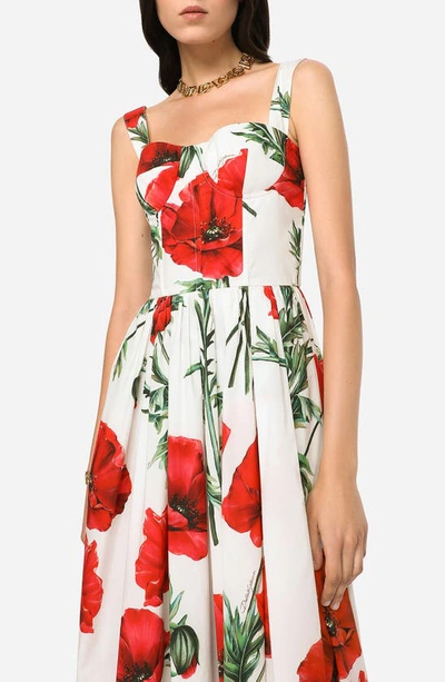 Shop Dolce & Gabbana Poppy Print Cotton Poplin Bustier Sundress In Natural White