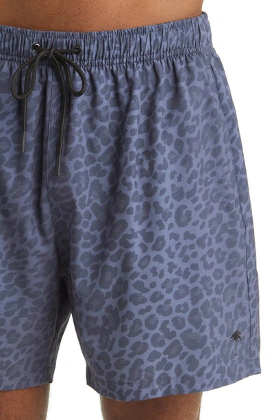 Shop Boardies Leopard Active Hybrid Shorts In Black