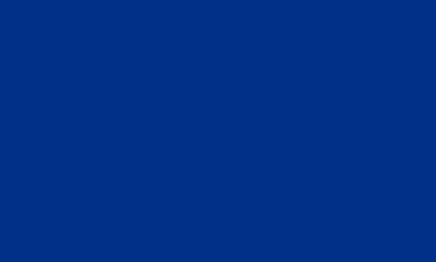 Shop Foco La Clippers Die-cut Logo Flip Flops In Blue