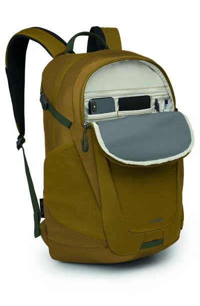 Shop Osprey Flare 27l Water Repellent Backpack In Brindle Brown
