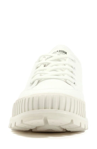Shop Palladium Pallashock Low Top Sneaker In Star White
