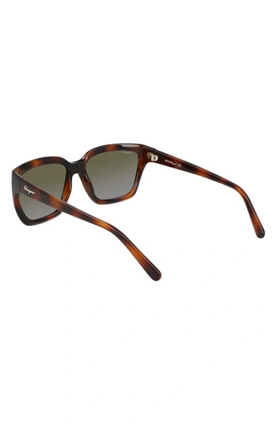 Ferragamo Classic Logo 59mm Gradient Rectangle Sunglasses In Tortoise/ Grey