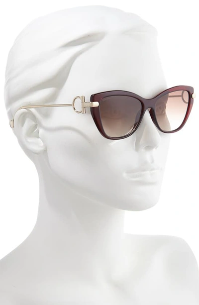 Shop Ferragamo Salvatore  55mm Cat Eye Sunglasses In Wine