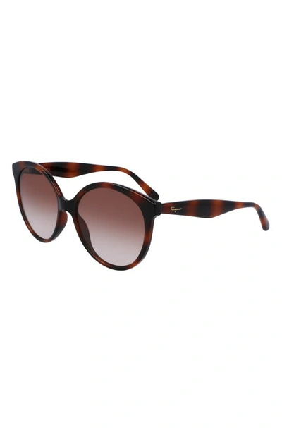 Ferragamo 58mm Tea Cup Full Rim Sunglasses In Tortoise