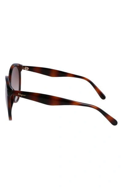 Ferragamo 58mm Tea Cup Full Rim Sunglasses In Tortoise