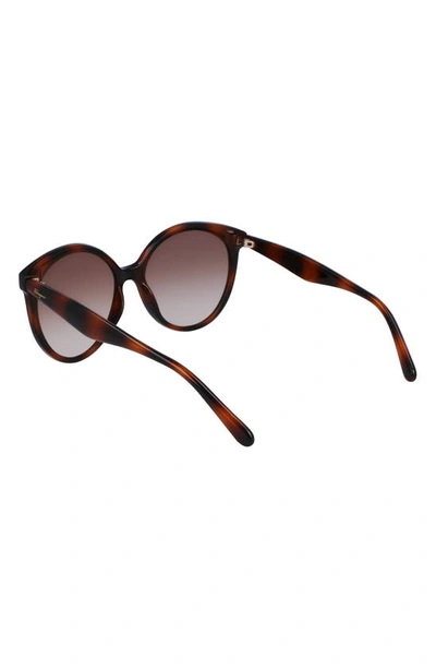 Ferragamo 58mm Tea Cup Full Rim Sunglasses In Tortoise