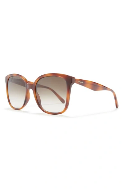 Ferragamo 56mm Square Sunglasses In Tortoise