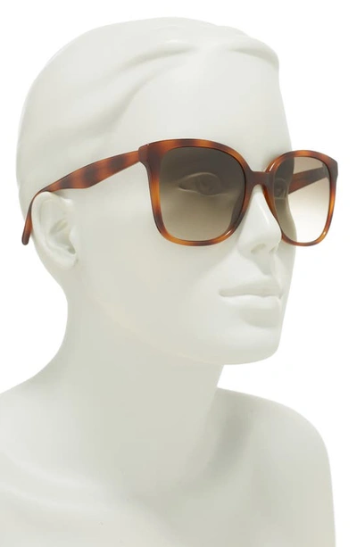 Ferragamo 56mm Square Sunglasses In Tortoise
