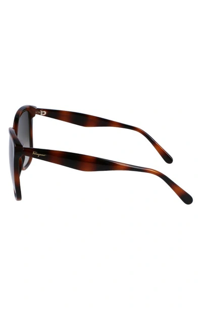 Ferragamo 56mm Square Sunglasses In Tortoise