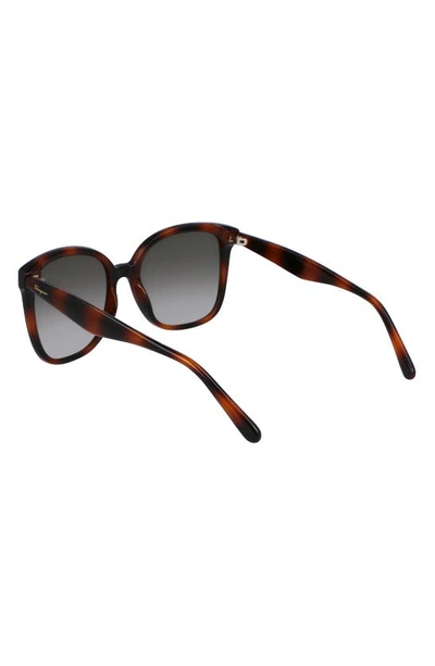 Ferragamo 56mm Square Sunglasses In Tortoise
