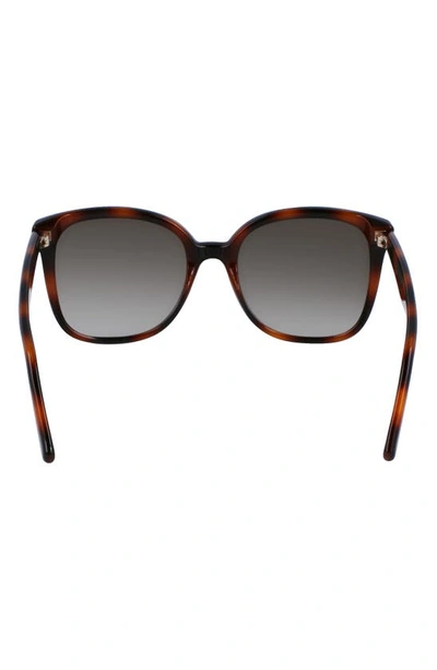 Ferragamo 56mm Square Sunglasses In Tortoise