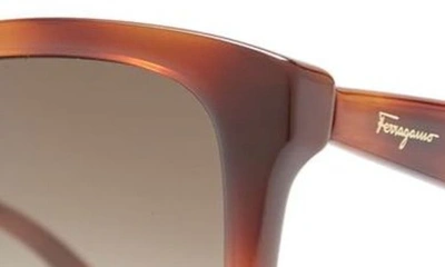 Ferragamo 56mm Square Sunglasses In Tortoise