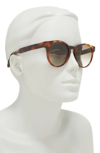 Shop Ferragamo 52mm Tea Cup Sunglasses In Tortoise