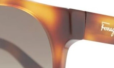 Shop Ferragamo 52mm Tea Cup Sunglasses In Tortoise