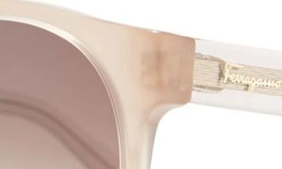 Ferragamo 52mm Tea Cup Sunglasses In Crystal Sand