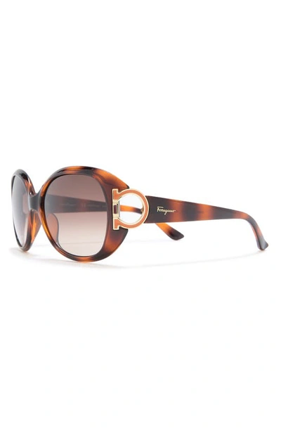 Shop Ferragamo 57mm Oversized Sunglasses In Dark Tortoise