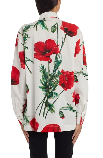 Shop Dolce & Gabbana Poppy Print Cotton Poplin Button-up Shirt In Natural White