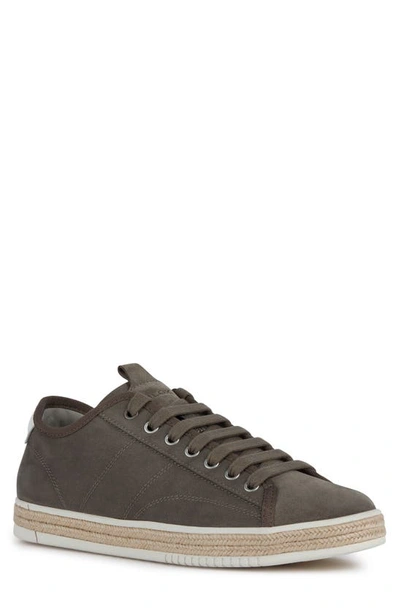 Shop Geox Pieve Canvas Sneaker In Dove Grey
