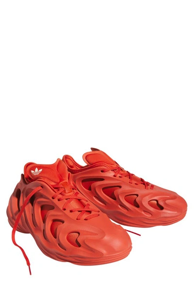 Shop Adidas Originals Adifom Q Sneaker In Red/ Shadow Red
