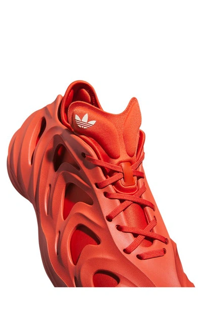 Shop Adidas Originals Adifom Q Sneaker In Red/ Shadow Red