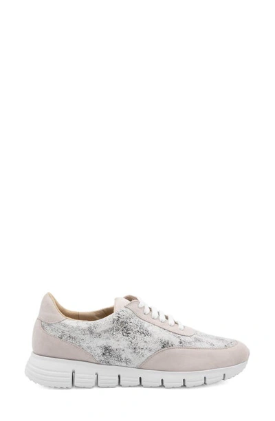 Shop Amalfi By Rangoni Jera Sneaker In Bianca Wash/ Dust