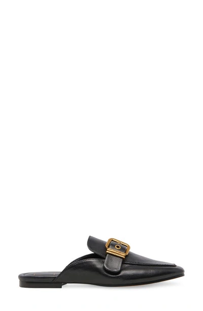 Shop Dolce Vita Santel Buckle Mule In Black Leather