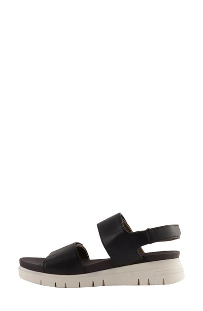 Shop David Tate Downy Slingback Sport Sandal In Black