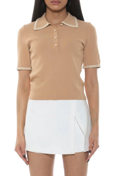 Shop Alexia Admor Collared Knit Short Sleeve Top In Beige