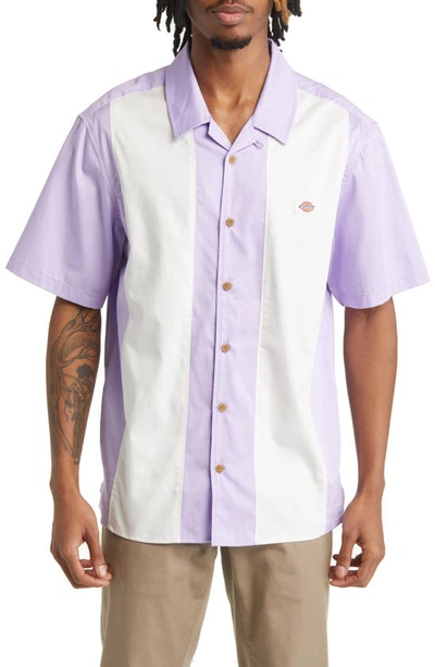 Shop Dickies Westover Stripe Short Sleeve Camp Shirt In Purple Rose