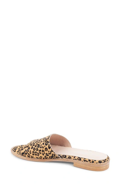Patricia Green Tucson Slide Flat Sandal In Leopard