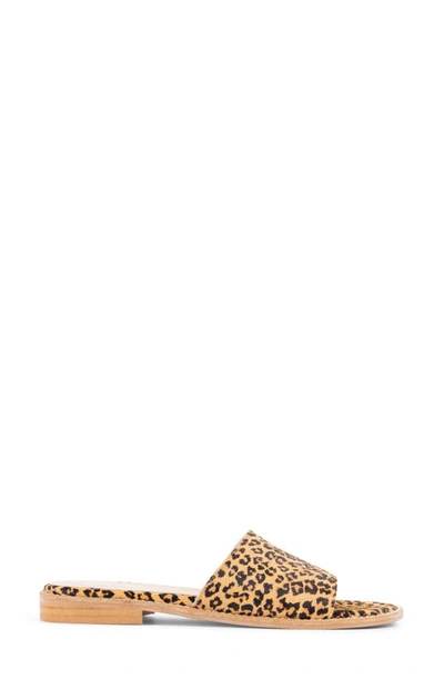 Patricia Green Tucson Slide Flat Sandal In Leopard