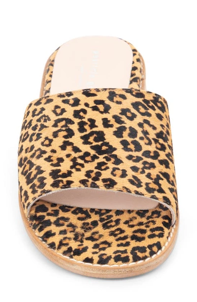 Patricia Green Tucson Slide Flat Sandal In Leopard