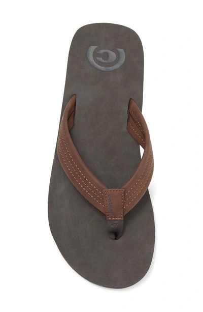 Shop Cobian Sand Lake Flip Flop In Chocolate