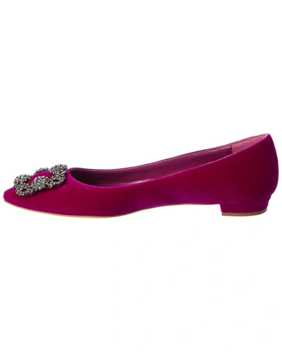 Manolo Blahnik Hangisi Velvet Flat In Purple