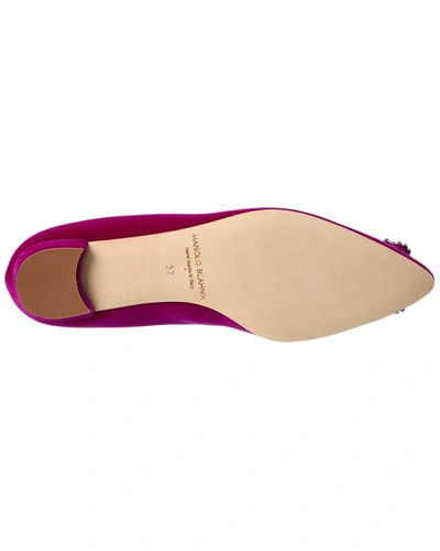Manolo Blahnik Hangisi Velvet Flat In Purple