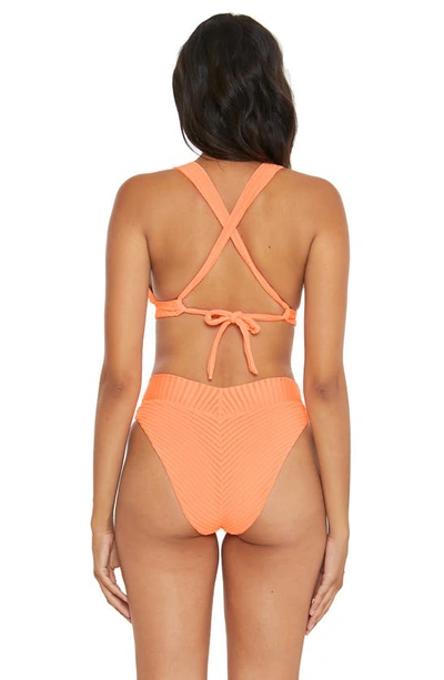 Shop Becca Line & Sand Halter Bikini Top In Nectar