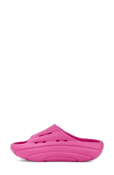 Shop Ugg Platform Slide Sandal In Dragon Fruit