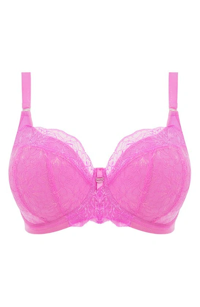 Shop Elomi Brianna Underwire Padded Half Cup Bra In Very Pink