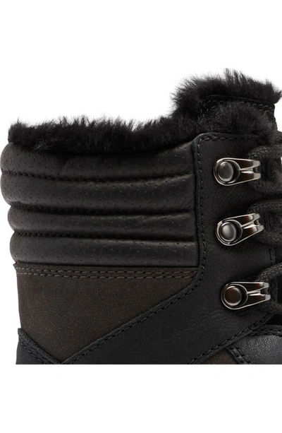 Shop Sorel Lennox Faux Fur Trim Lace-up Boot In Jet Black