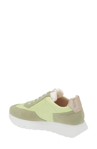 Wonders Odisei Sneaker In Trend Oil/ Nylon Lima